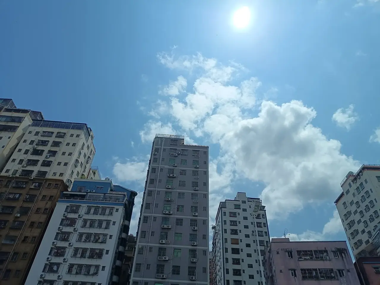 深圳湾与城市中心区