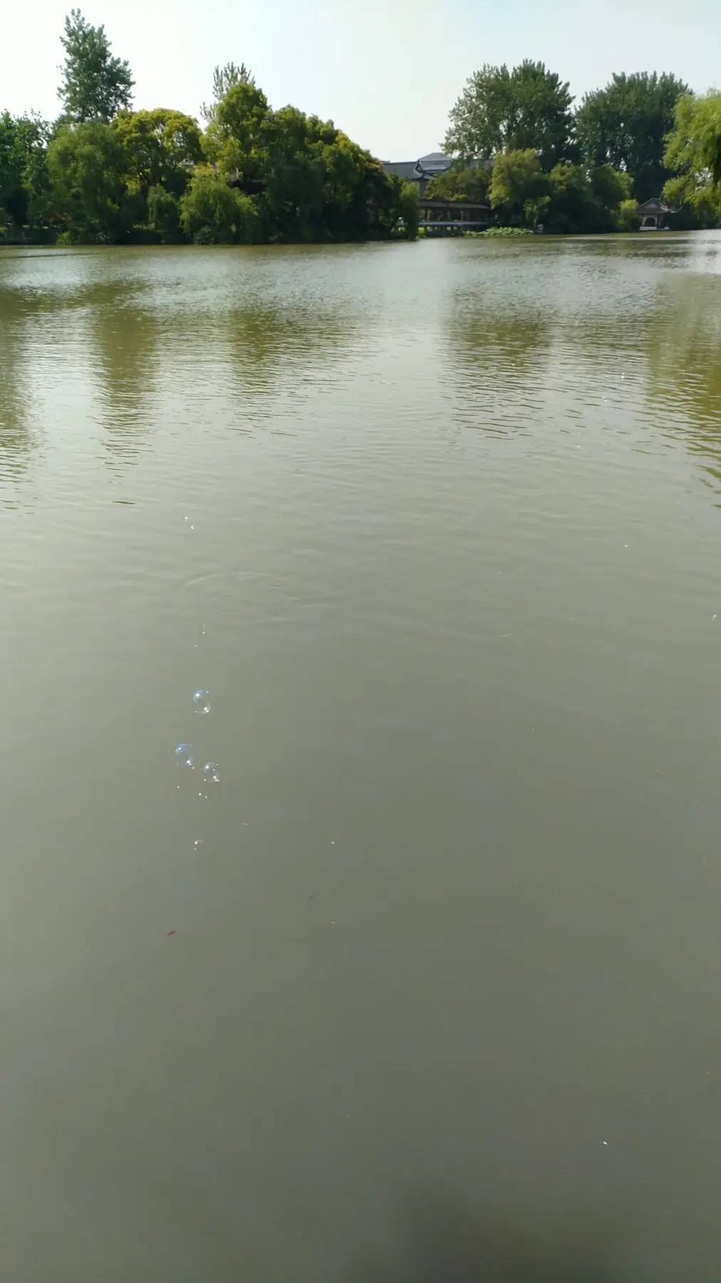 扬州瘦西湖与城市水景